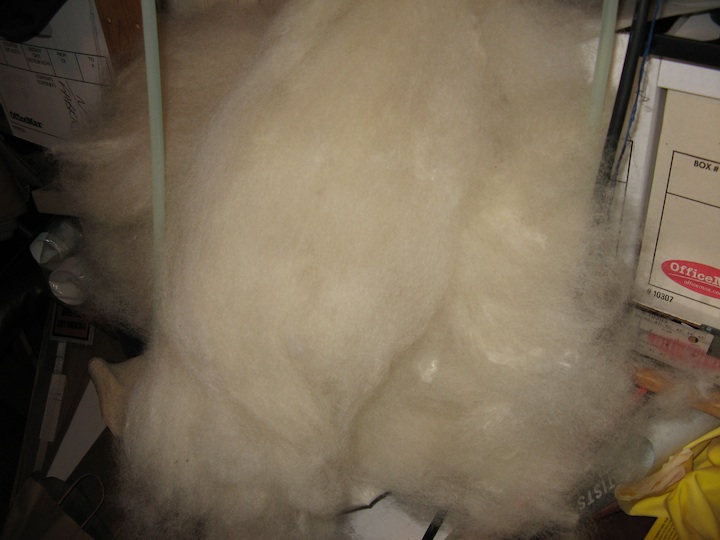 bfl-picked-and-carded.jpg